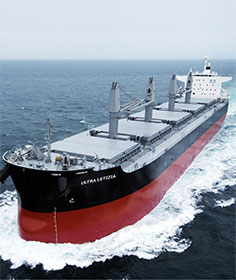 散裝船運(yùn)輸