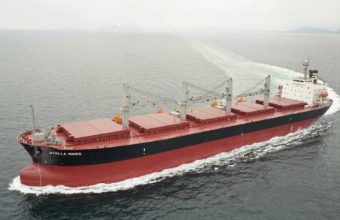 什么原因?qū)е陆衲陙?lái)散貨船銷售市場(chǎng)持續(xù)回落？