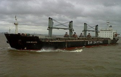 管控增加沿海地區(qū)省界散裝液體風(fēng)險貨品船舶運輸?shù)纳⒀b船只運輸能力，要考慮國家的相關(guān)規(guī)定