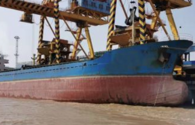 截止至2019年12月末干貨船的船運運輸能力情況