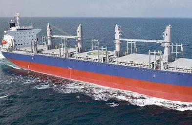 雜貨船適用與哪些貨物出口？