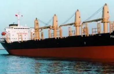 新冠疫情對干散貨船航運(yùn)市場影響將更溫和