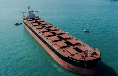 散貨船價格波動的原因和其對市場和經(jīng)濟的影響是什么？