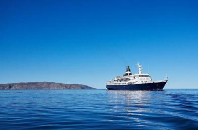 5000噸散貨船的市場前景如何？