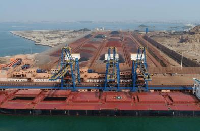 散雜船的優(yōu)勢是什么？應用領域有哪些？