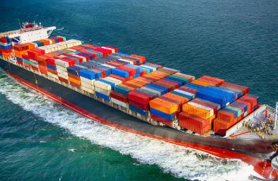 深入分析散貨船價格的形成機制