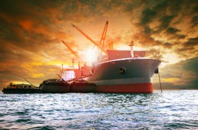 散貨船價格的波動與哪些因素密切相關(guān)？