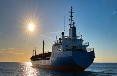 不只是數(shù)字游戲：探索影響散貨船價格的復(fù)雜模式