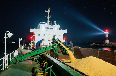 上海港散貨船運(yùn)輸：大宗物資的海上運(yùn)輸動(dòng)脈